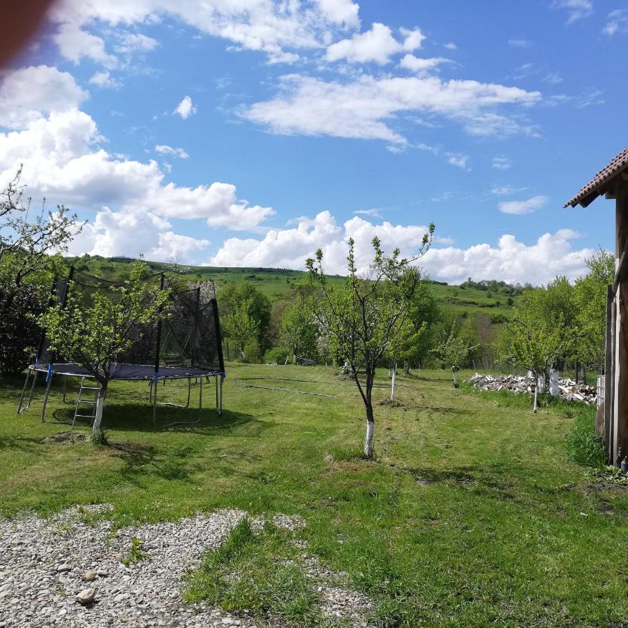 Casa Din Barcut 게스트하우스 외부 사진