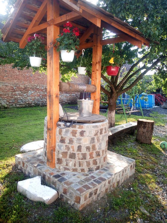 Casa Din Barcut 게스트하우스 외부 사진