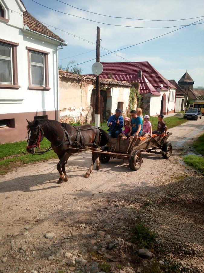 Casa Din Barcut 게스트하우스 외부 사진