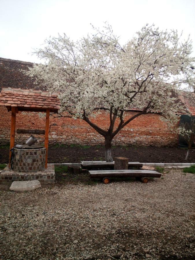 Casa Din Barcut 게스트하우스 외부 사진